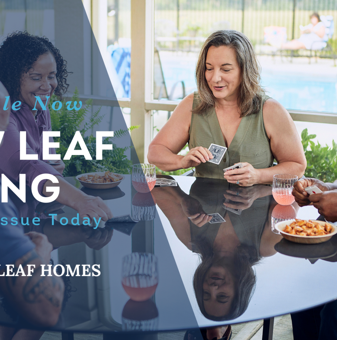 Teaser image for a blog post about the first issue of New Leaf Living