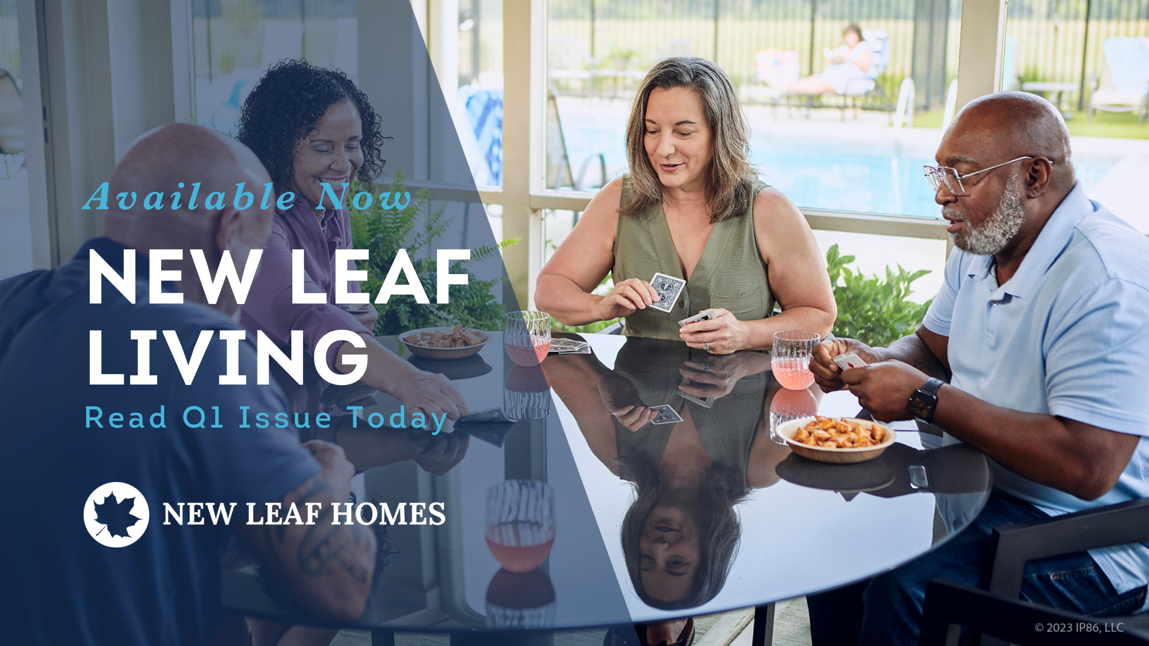 Teaser image for a blog post about the first issue of New Leaf Living