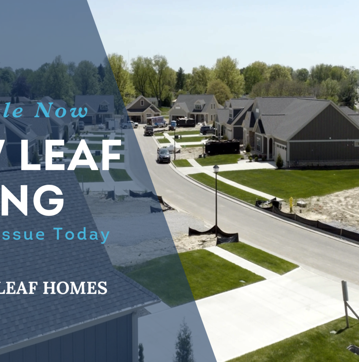 Teaser image for a blog post titled " Embrace the Future with New Leaf Living: Second Issue Now Available!"